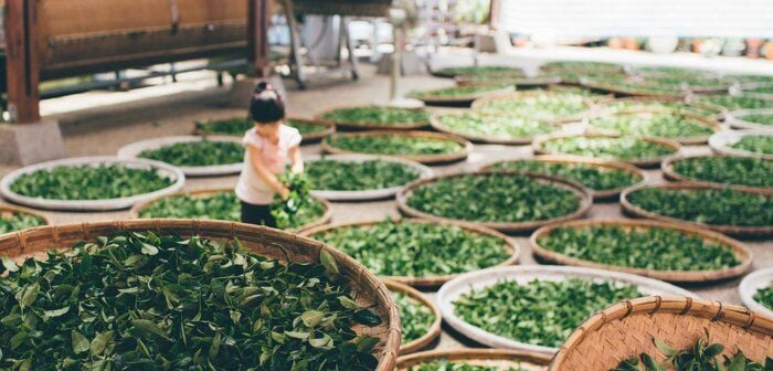Đỉnh Cao Công Nghệ Quy Nhơn