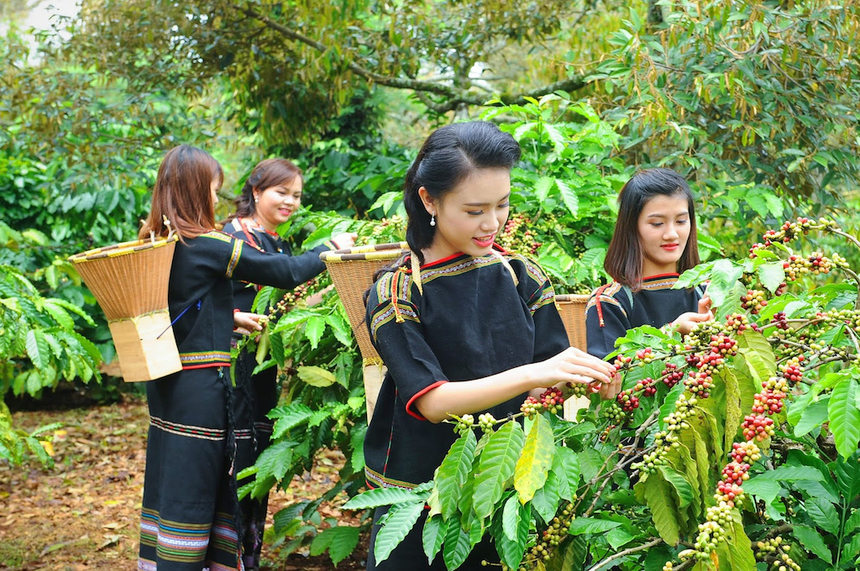 Đỉnh Cao Công Nghệ Quy Nhơn
