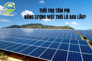 Tuổi thọ tấm pin năng lượng mặt trời bao lâu?
